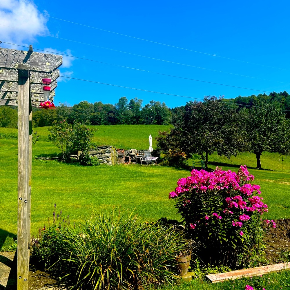 Meet your Posher, Rebecca